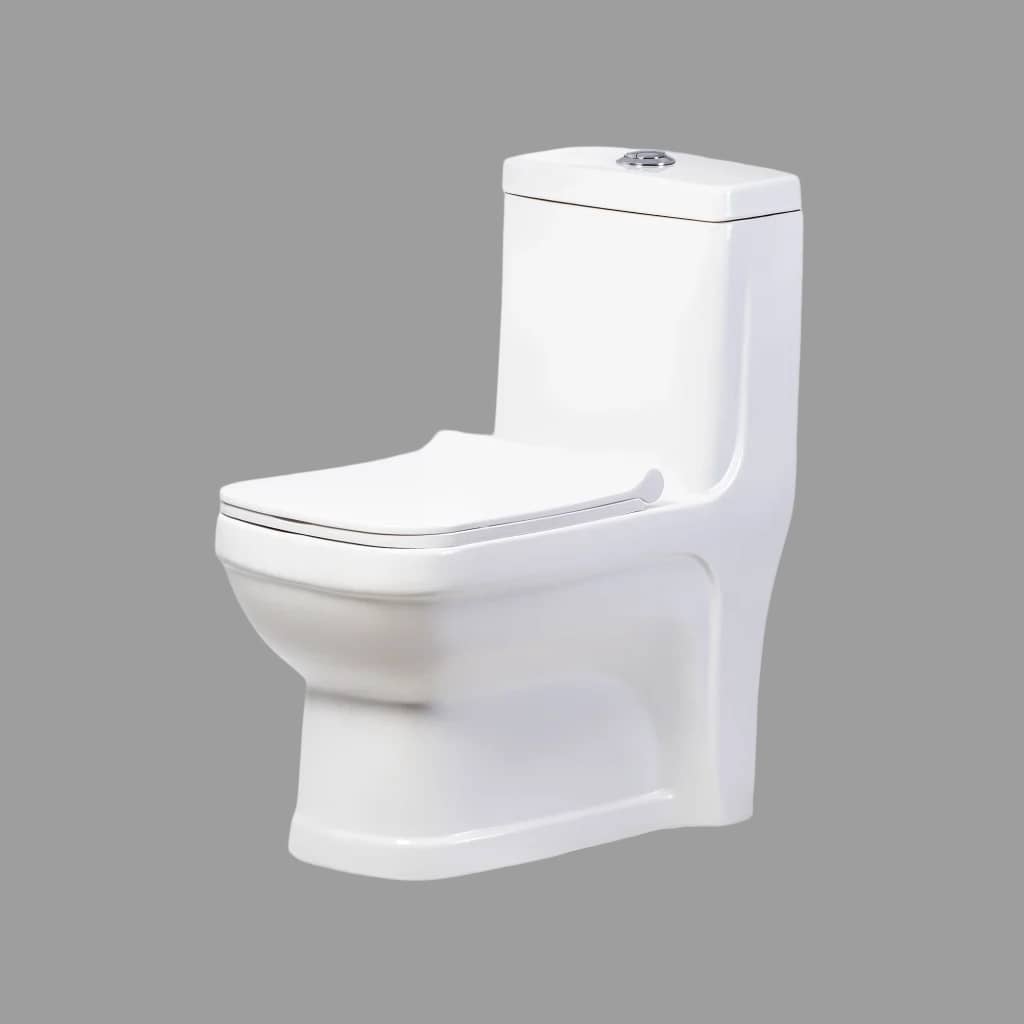 Toilet Seat Code 1010