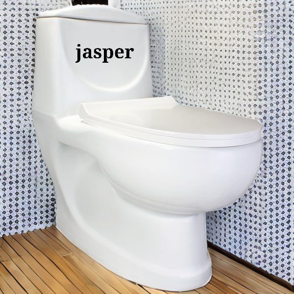 -210244_temp Toilet Seat Code 1002 - Image 1