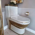 توالت فرنگی رنگی کد 1003