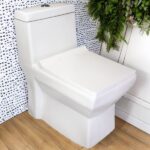 Toilet Seat Code 1013