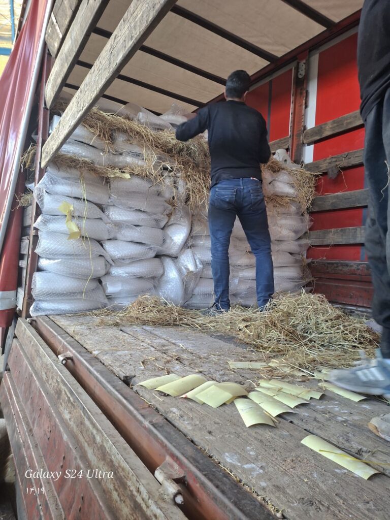 بارگیری برای کشور سوریه